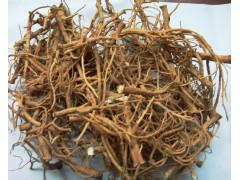 柴胡种植技术|如何提高柴胡的产量|柴胡种植的管理|柴胡病虫害的处理方法|柴胡种植的柴胡种植的采集和加工|柴胡的生活习性 柴胡种植技术|如何提高柴胡的产量|柴胡种植的管理|柴胡病虫害的处理方法|柴胡种植的柴胡种植的采集和加工|柴胡的生活习性